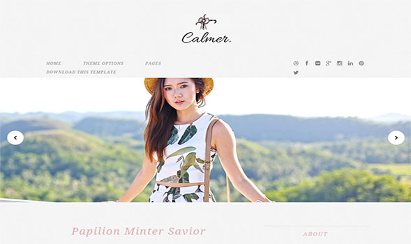 Calmer-Stylish-Blogger-Template
