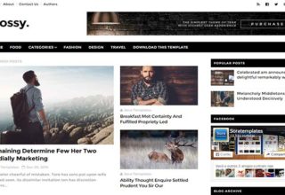 Glossy Blogger Template
