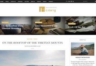 Honey Blogger Template