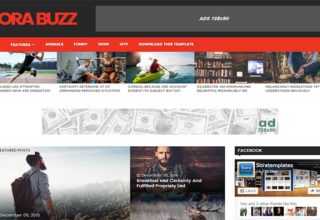 Sora Buzz Blogger Template